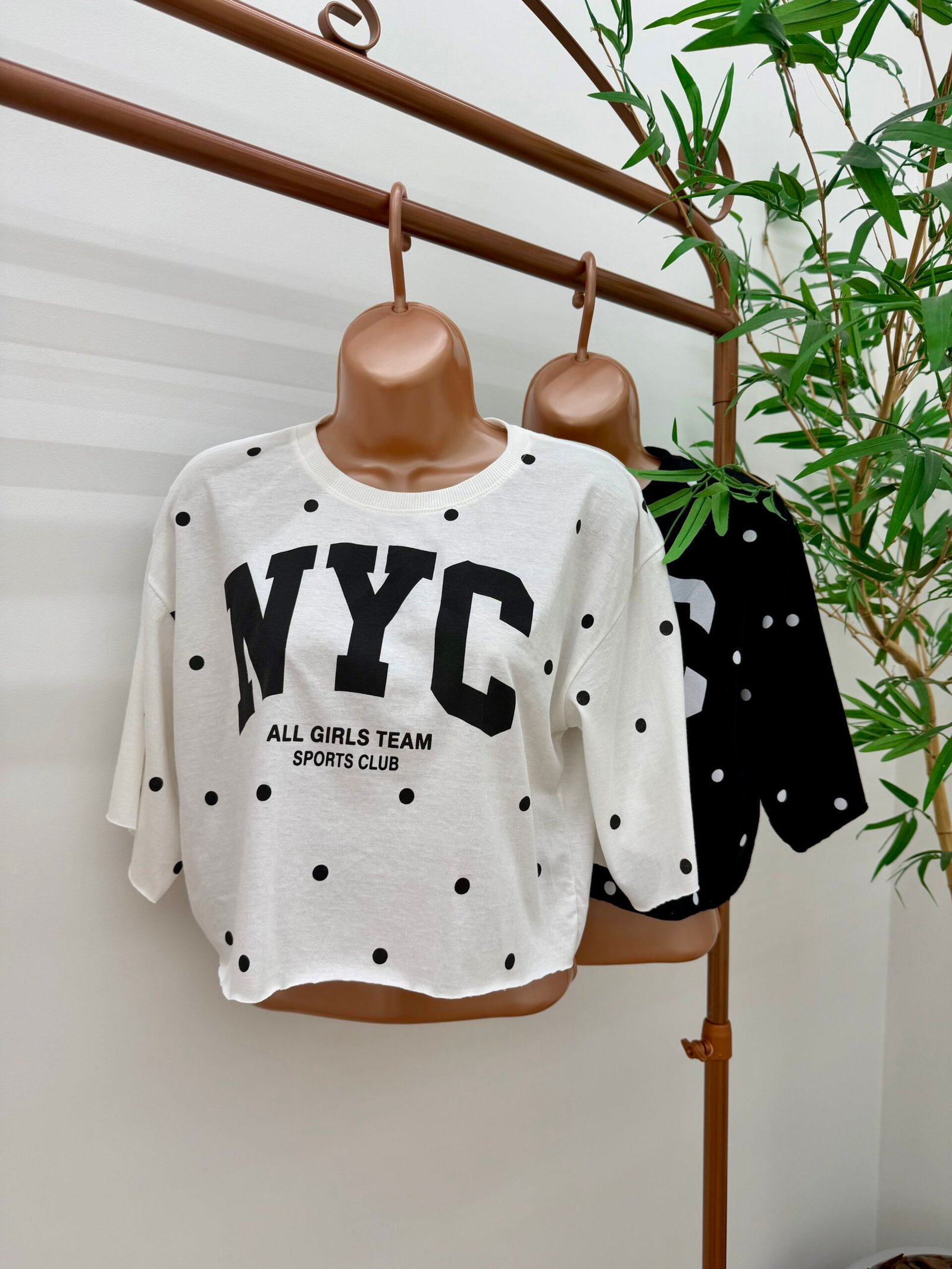 Cropped Over NYC 0030
